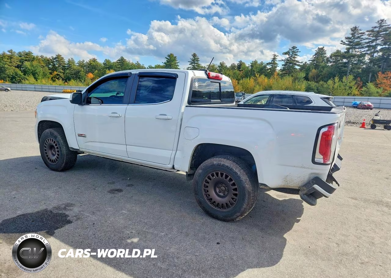 2019 GMC Canyon All Terrain VIN:1GTG6FEN1K1296387 - 2