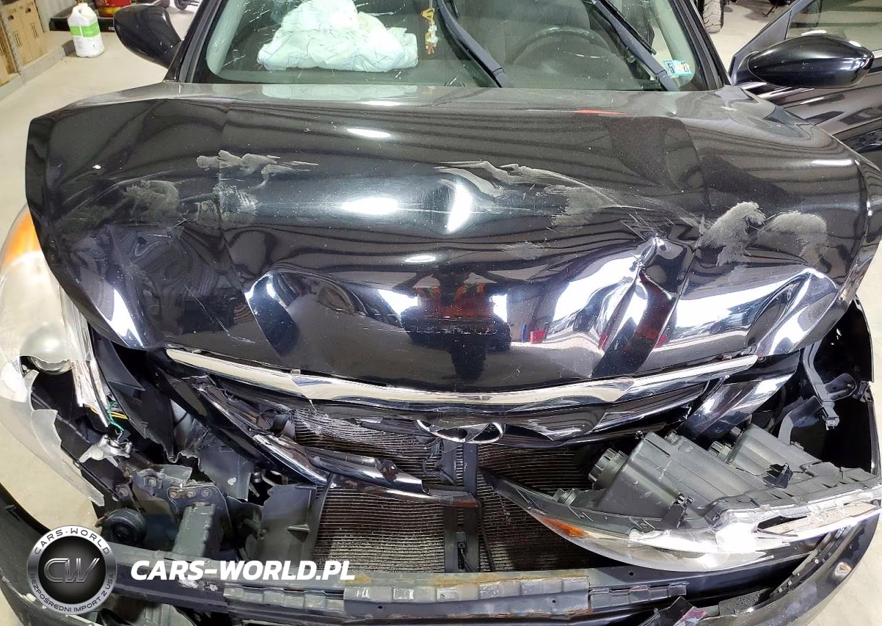 2013 Hyundai Sonata Gls VIN:5NPEB4AC3DH632919 - 11