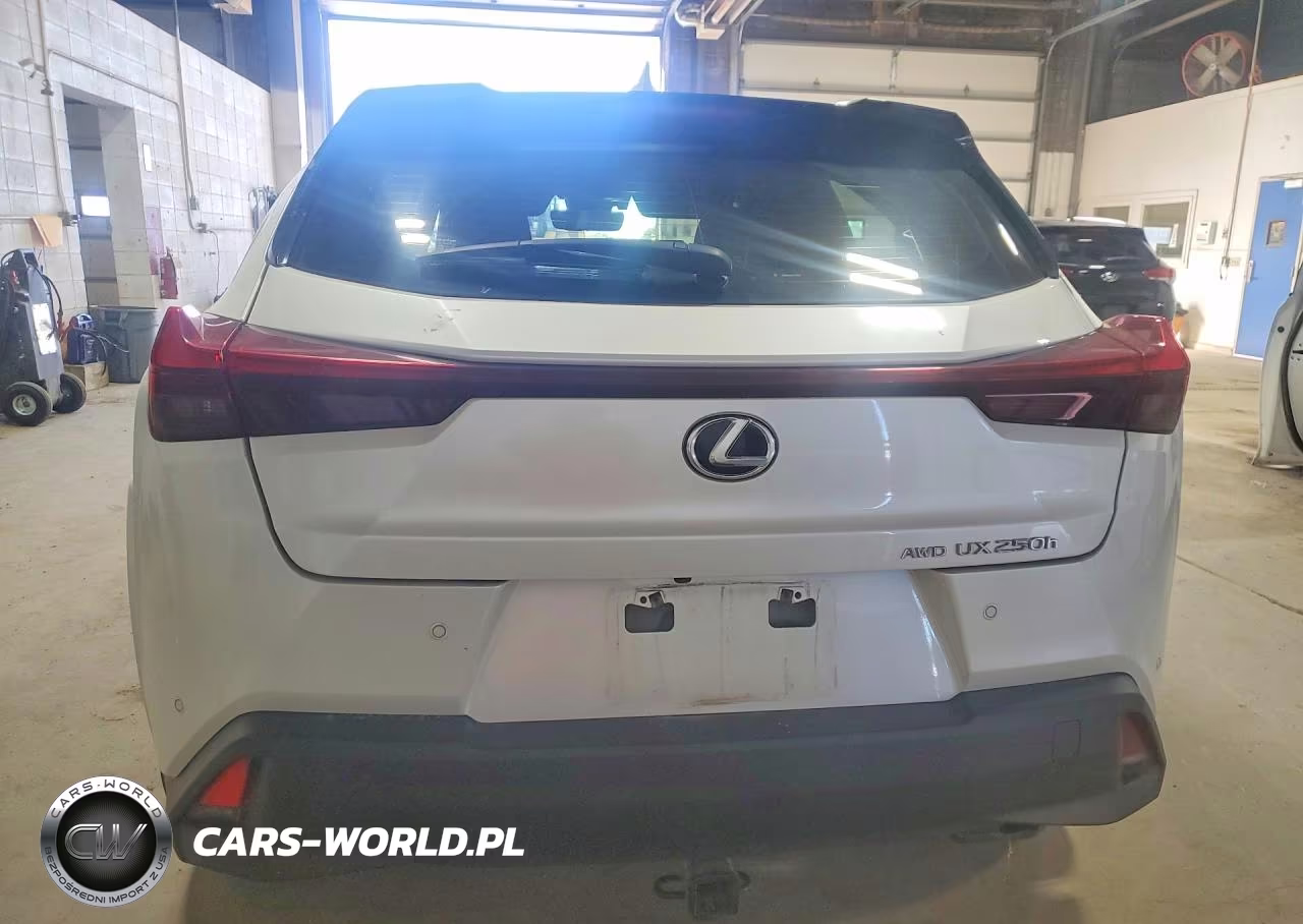 2024 Lexus Ux 250H Premium VIN:JTHP9JBH0R2079375 - 6