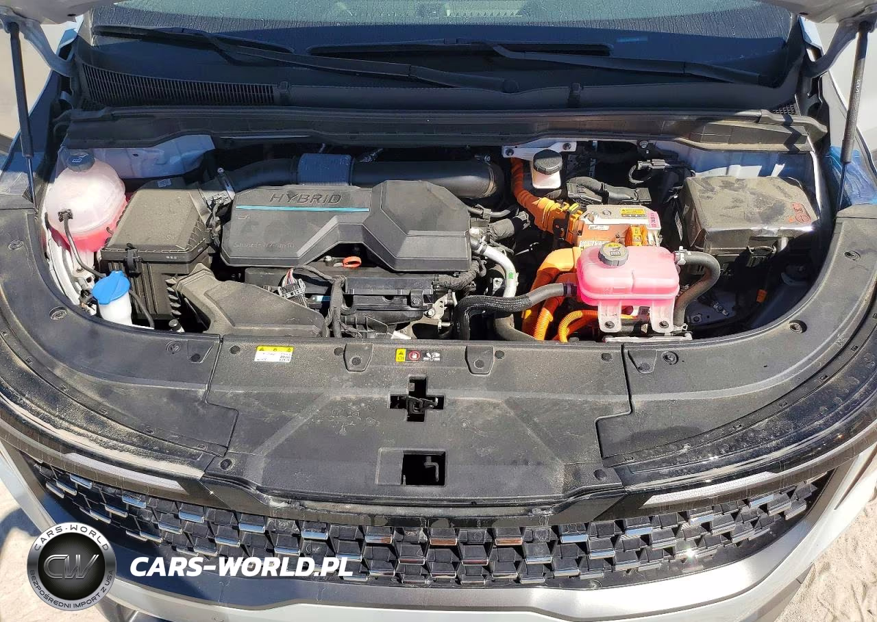 2025 Kia Carnival Hybrid Sx VIN:KNDNE5KAXS6039849 - 12