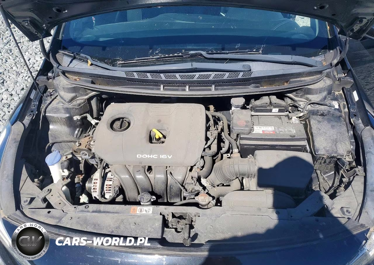 2017 Kia Forte Lx VIN:3KPFK4A71HE123185 - 11