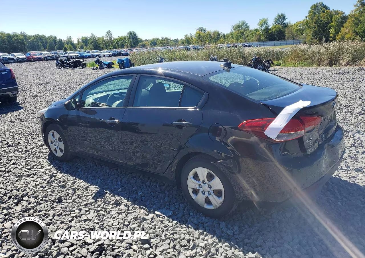 2017 Kia Forte Lx VIN:3KPFK4A71HE123185 - 2