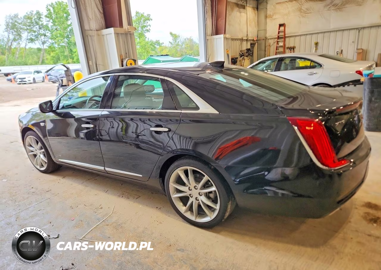 2019 Cadillac Xts Premium Luxury VIN:2G61P5S32K9100634 - 2