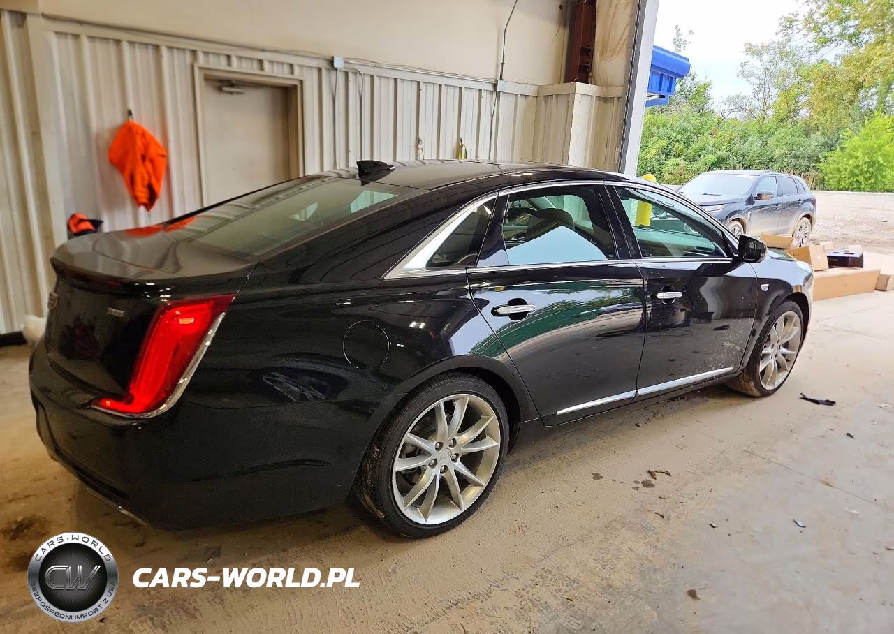 2019 Cadillac Xts Premium Luxury VIN:2G61P5S32K9100634 - 3