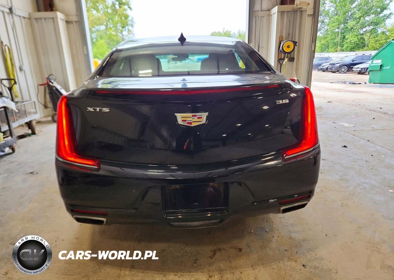 2019 Cadillac Xts Premium Luxury VIN:2G61P5S32K9100634 - 6
