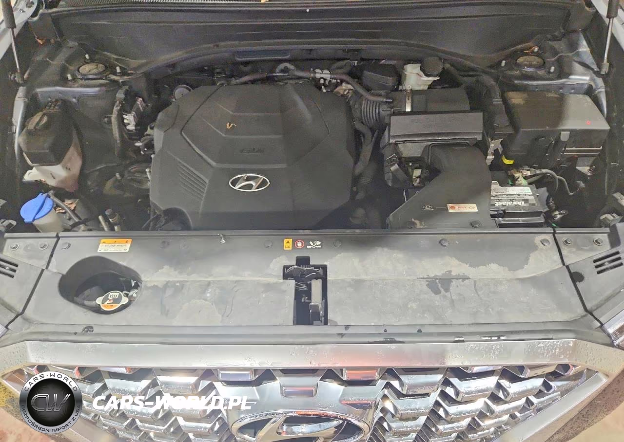 2021 Hyundai Palisade Limited VIN:KM8R5DHE6MU207986 - 12