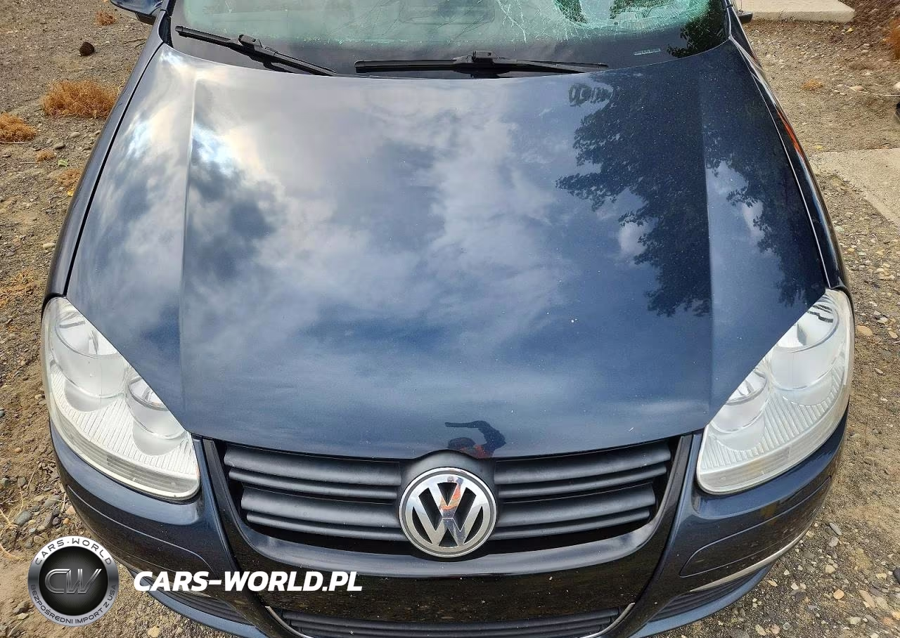2010 Volkswagen Jetta Tdi VIN:3VWRL7AJ6AM034535 - 11