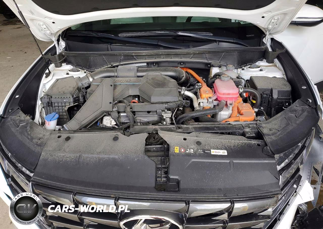 2024 Hyundai Tucson Sel Convenience VIN:KM8JCCD13RU204759 - 12