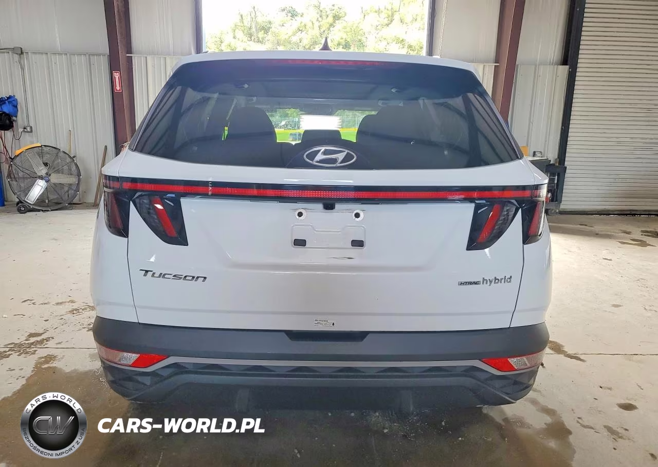 2024 Hyundai Tucson Sel Convenience VIN:KM8JCCD13RU204759 - 6