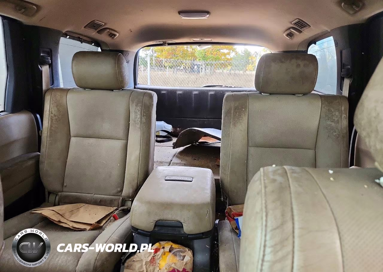 2010 Toyota Sequoia Platinum VIN:5TDDW5G11AS026357 - 10