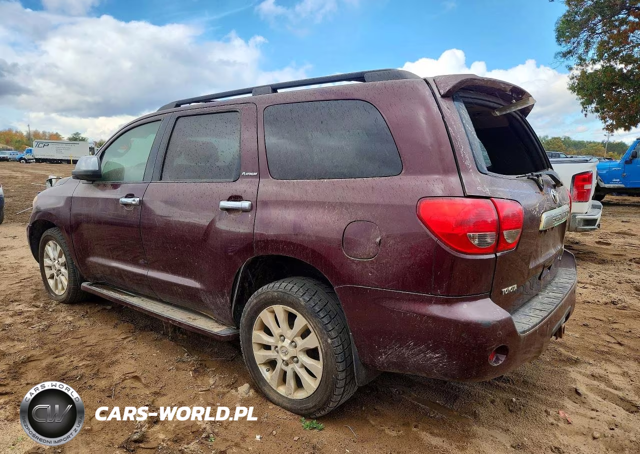 2010 Toyota Sequoia Platinum VIN:5TDDW5G11AS026357 - 2