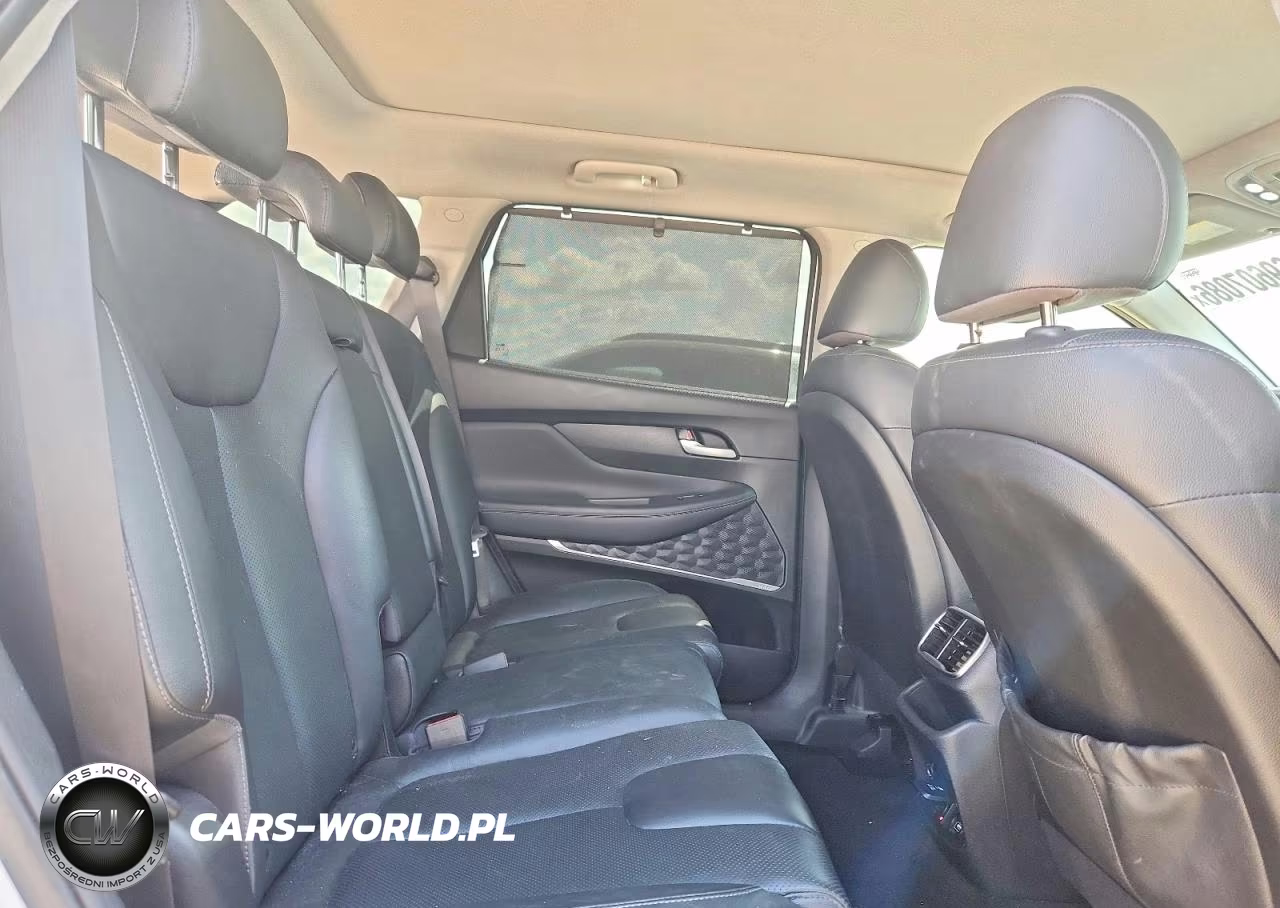 2019 Hyundai Santa Fe Ultimate 2.0T VIN:5NMS53AA7KH065353 - 10