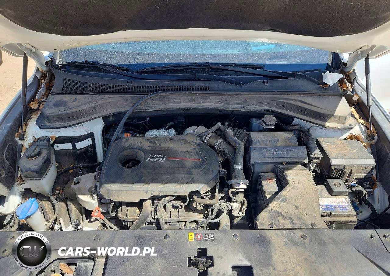 2019 Hyundai Santa Fe Ultimate 2.0T VIN:5NMS53AA7KH065353 - 11