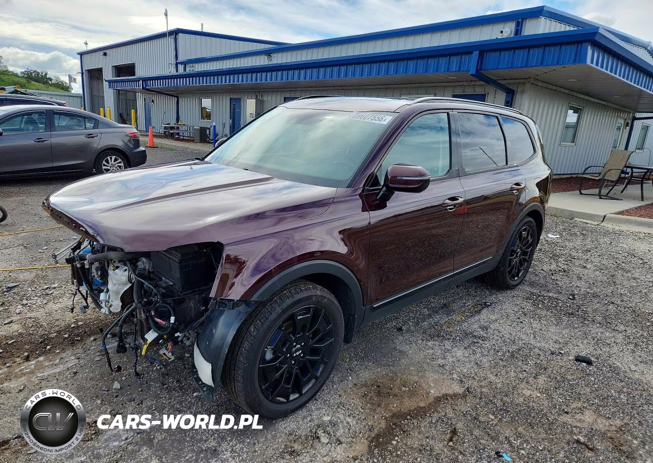 2022 Kia Telluride Sx VIN:5XYP5DHC9NG283991 - 1