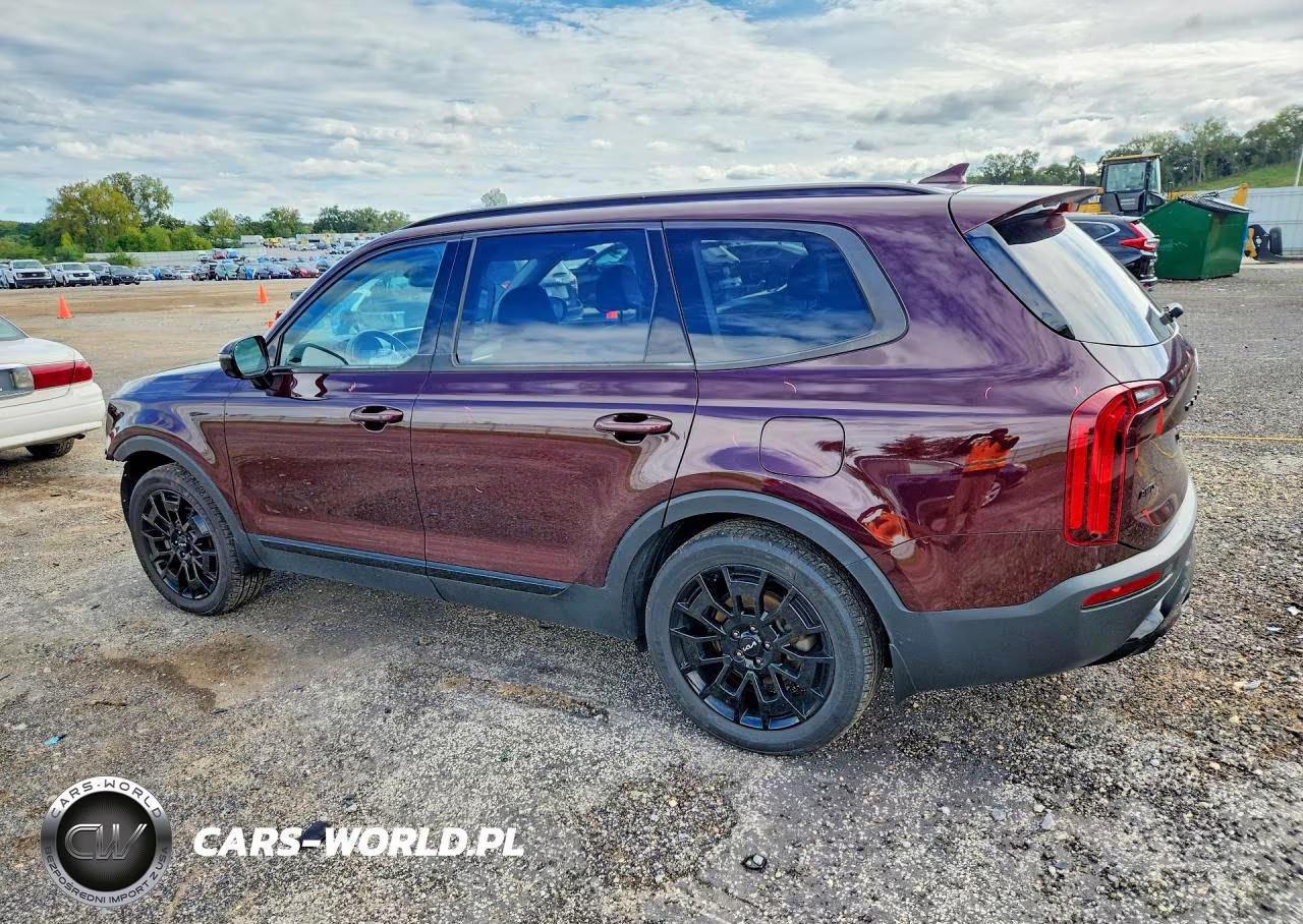 2022 Kia Telluride Sx VIN:5XYP5DHC9NG283991 - 2