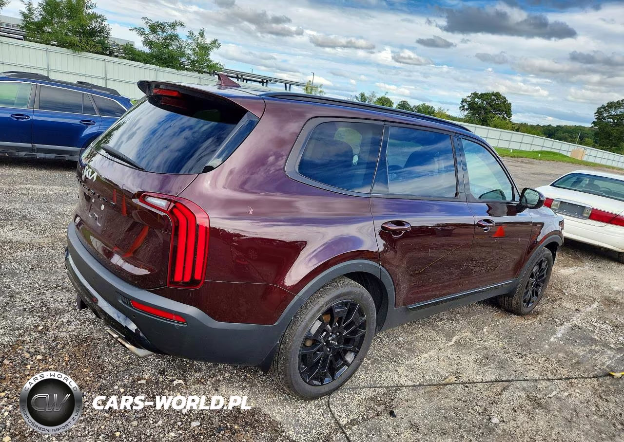 2022 Kia Telluride Sx VIN:5XYP5DHC9NG283991 - 3