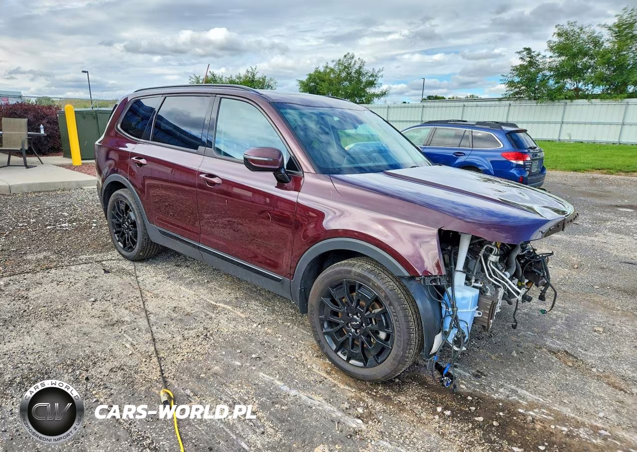 2022 Kia Telluride Sx VIN:5XYP5DHC9NG283991 - 4