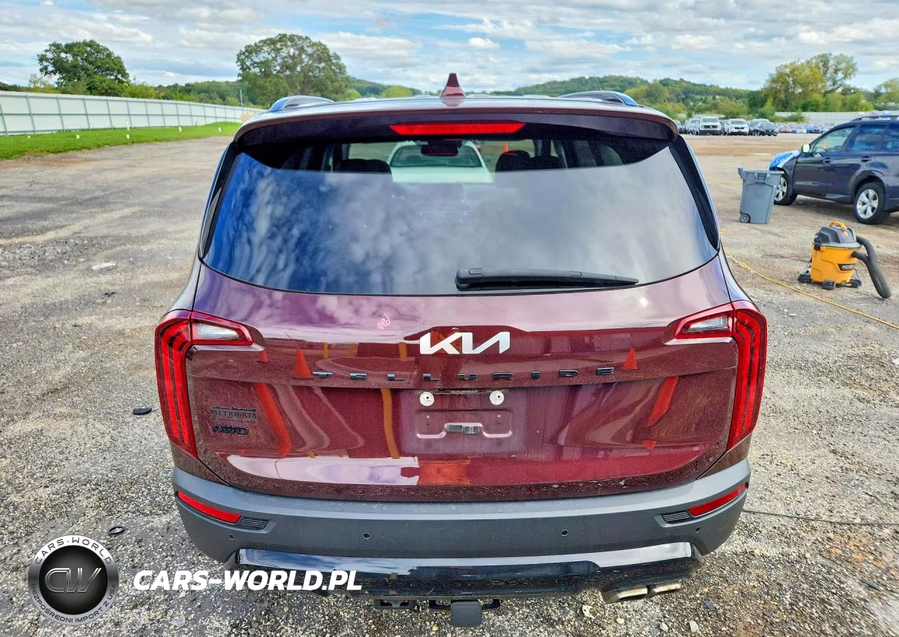 2022 Kia Telluride Sx VIN:5XYP5DHC9NG283991 - 6