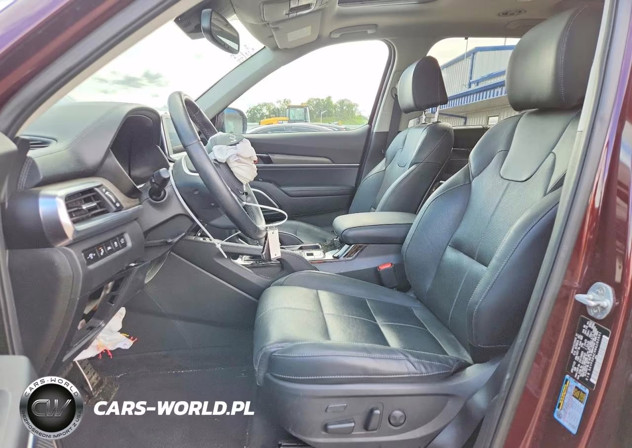 2022 Kia Telluride Sx VIN:5XYP5DHC9NG283991 - 7