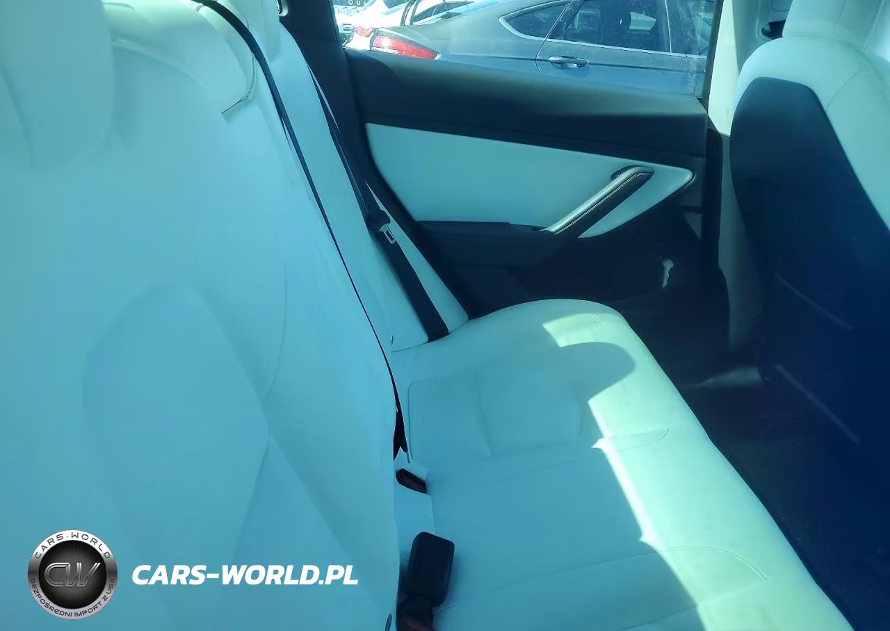2020 Tesla Model 3 VIN:5YJ3E1EA4LF806810 - 10