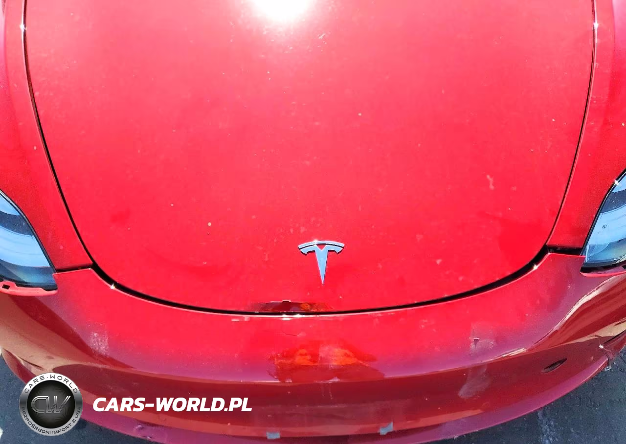 2020 Tesla Model 3 VIN:5YJ3E1EA4LF806810 - 11