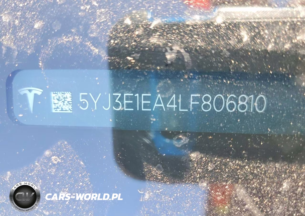 2020 Tesla Model 3 VIN:5YJ3E1EA4LF806810 - 12