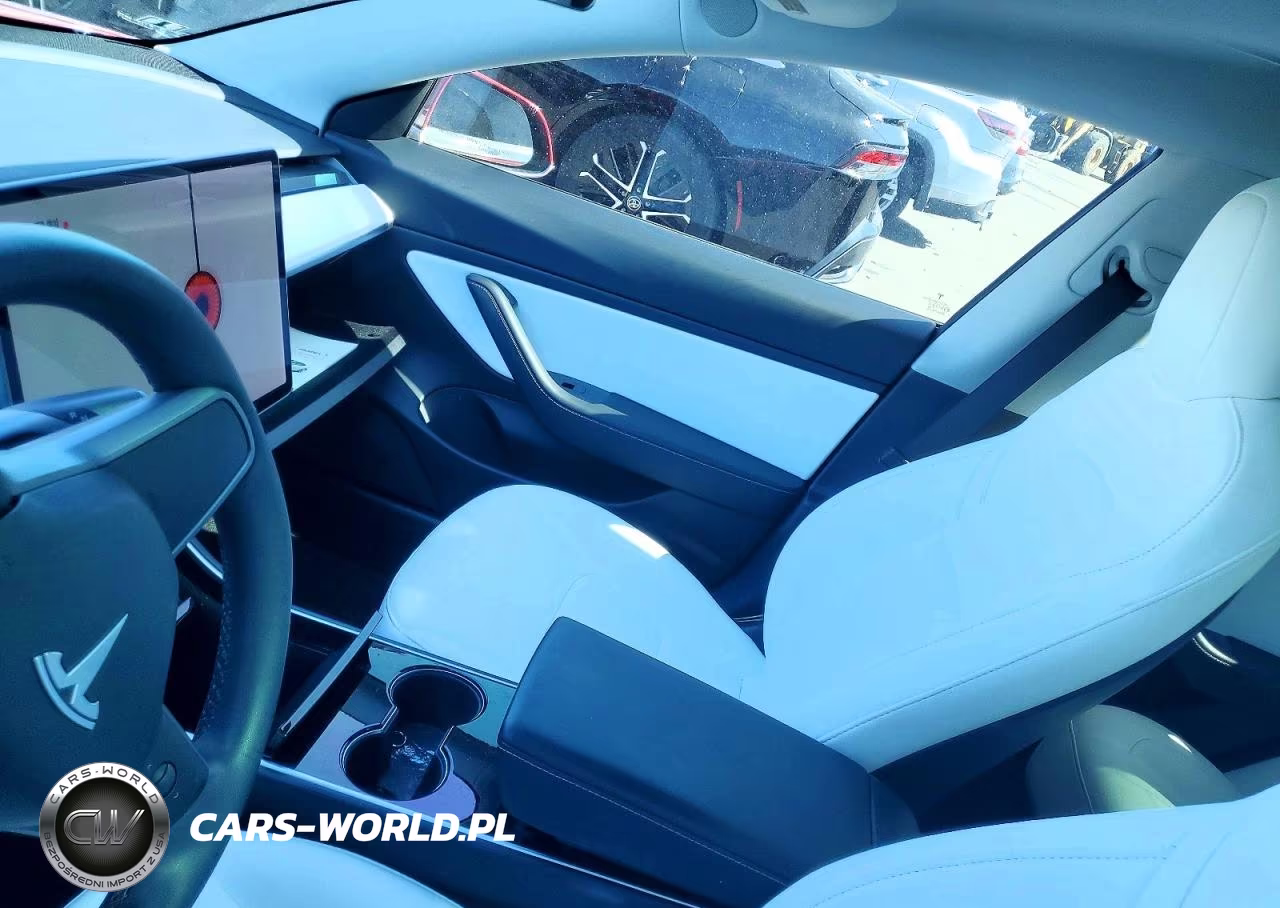 2020 Tesla Model 3 VIN:5YJ3E1EA4LF806810 - 9