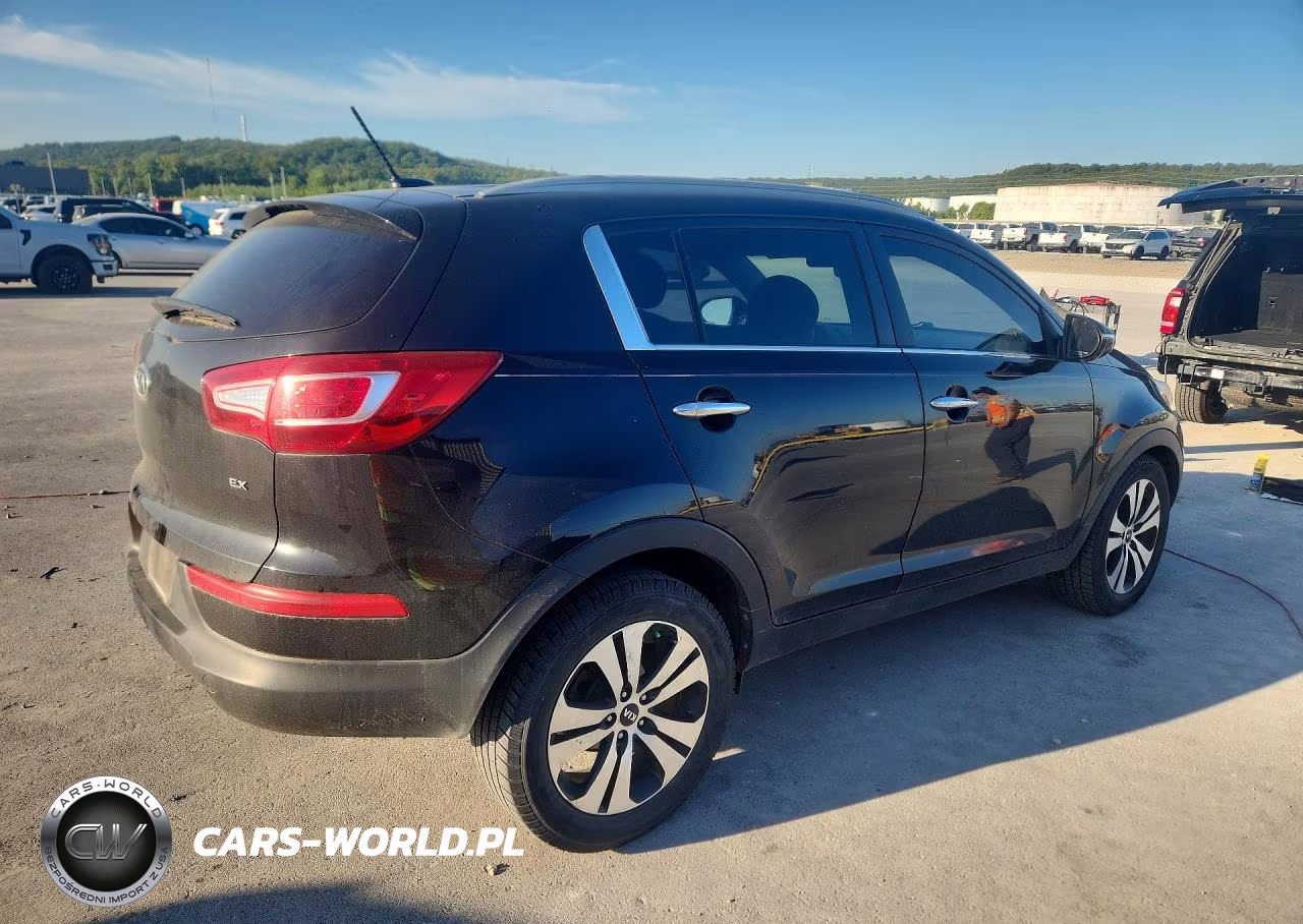 2011 Kia Sportage Ex VIN:KNDPC3A20B7109124 - 3