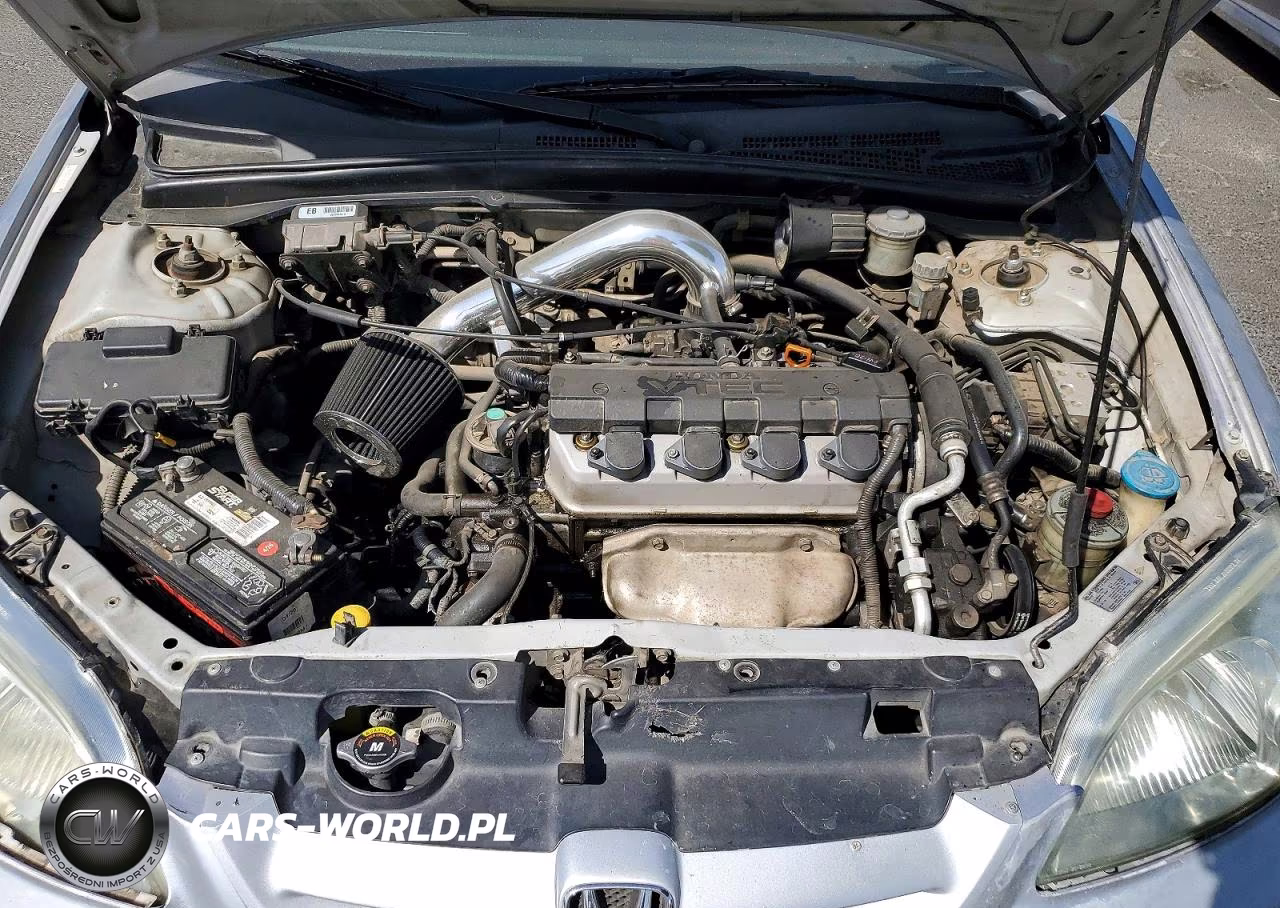 2003 Honda Civic Ex VIN:1HGEM219X3L035815 - 11