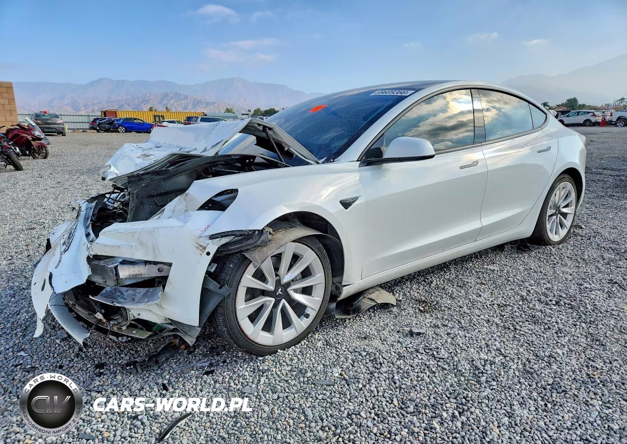 2021 Tesla Model 3 VIN:5YJ3E1EA1MF927599 - 1