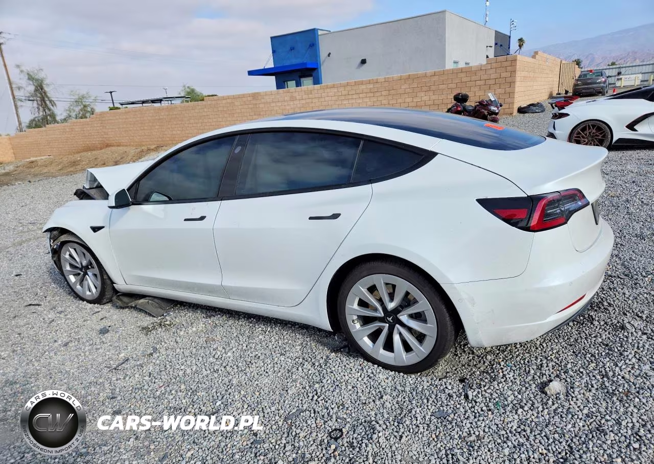 2021 Tesla Model 3 VIN:5YJ3E1EA1MF927599 - 2
