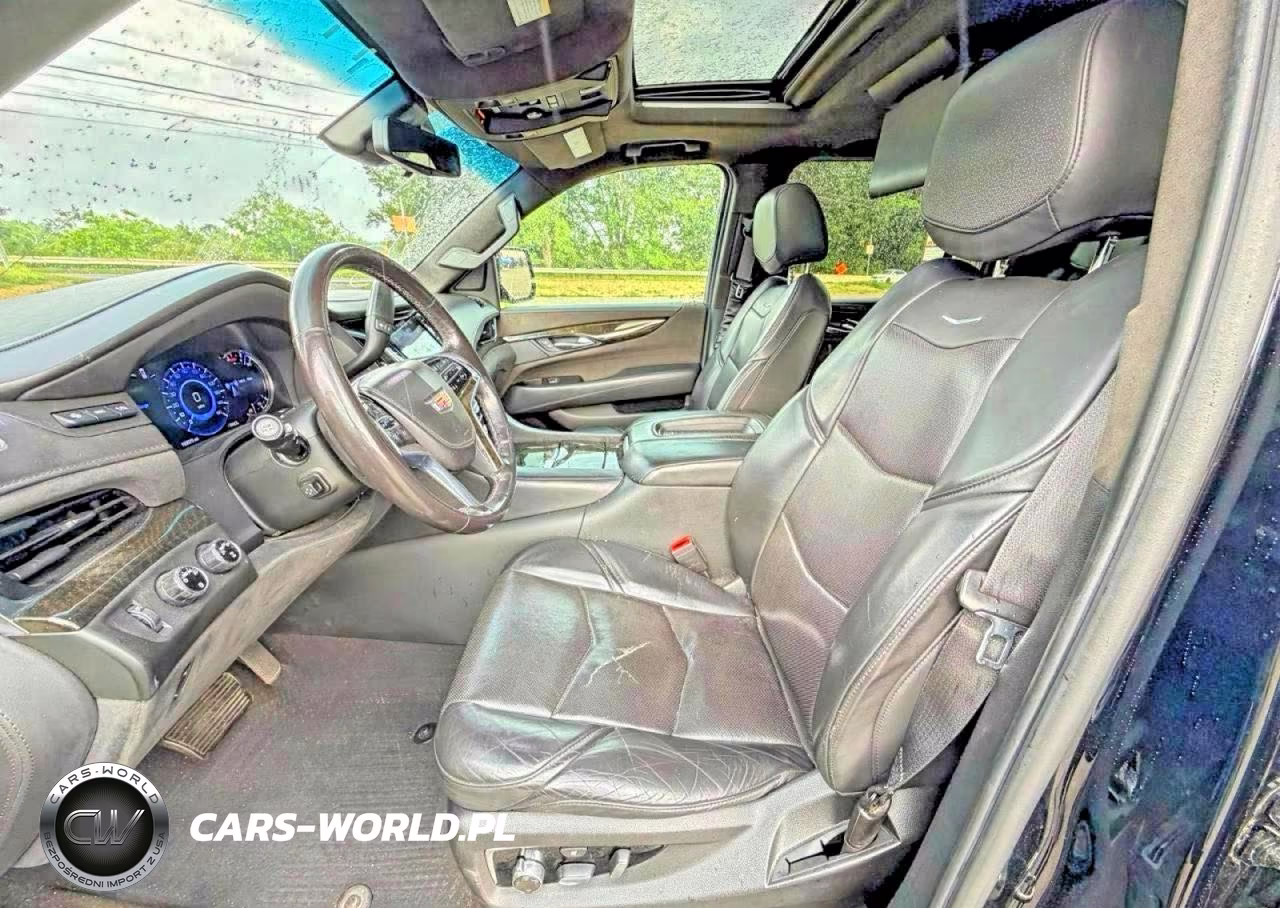 2020 Cadillac Escalade Esv Platinum VIN:1GYS4KKJ2LR110640 - 13