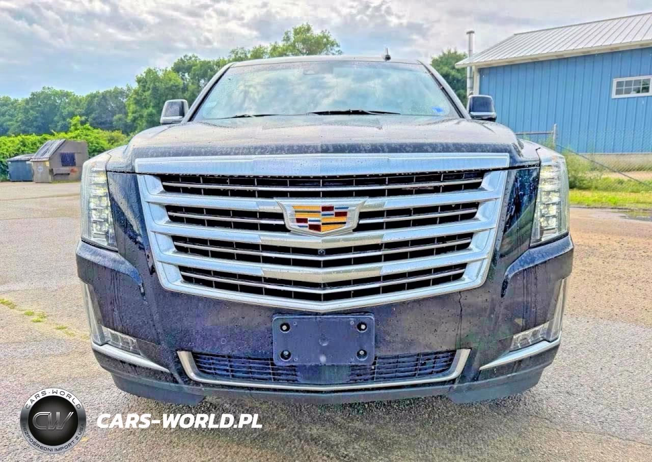 2020 Cadillac Escalade Esv Platinum VIN:1GYS4KKJ2LR110640 - 14