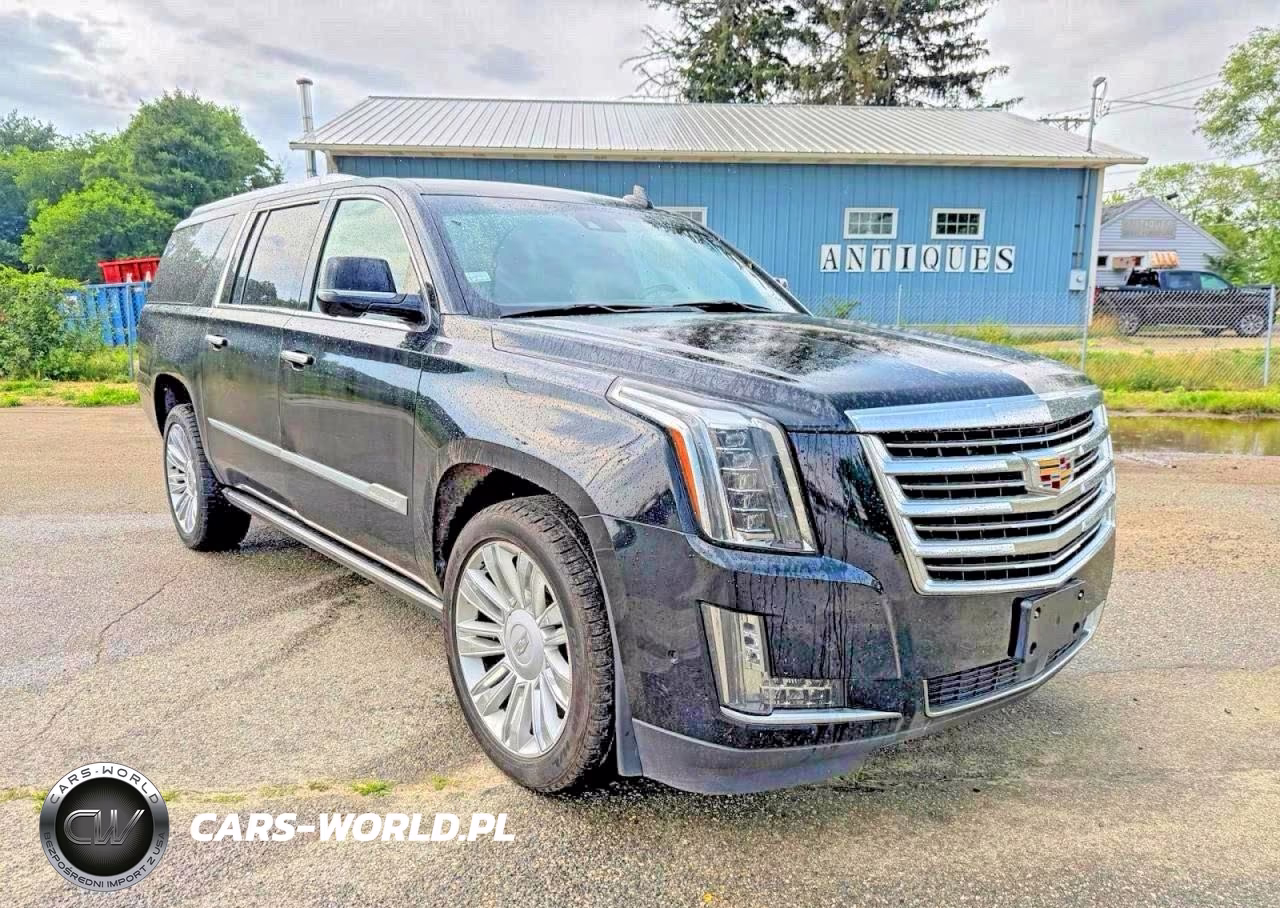 2020 Cadillac Escalade Esv Platinum VIN:1GYS4KKJ2LR110640 - 2