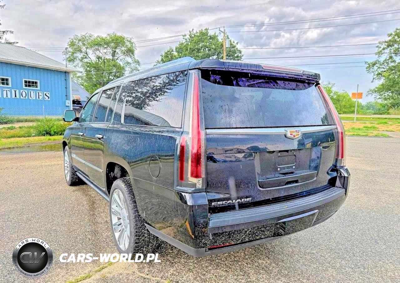 2020 Cadillac Escalade Esv Platinum VIN:1GYS4KKJ2LR110640 - 3