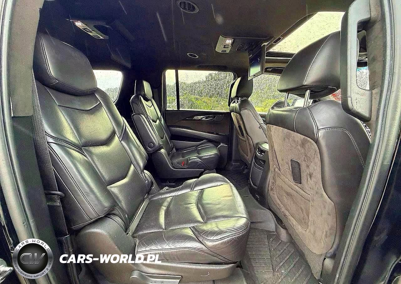 2020 Cadillac Escalade Esv Platinum VIN:1GYS4KKJ2LR110640 - 6