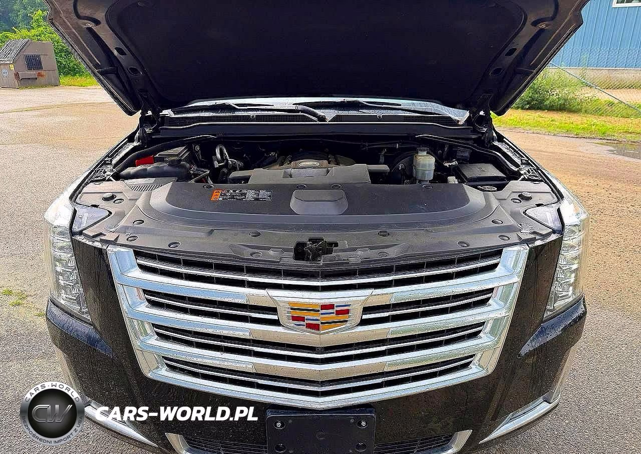 2020 Cadillac Escalade Esv Platinum VIN:1GYS4KKJ2LR110640 - 7