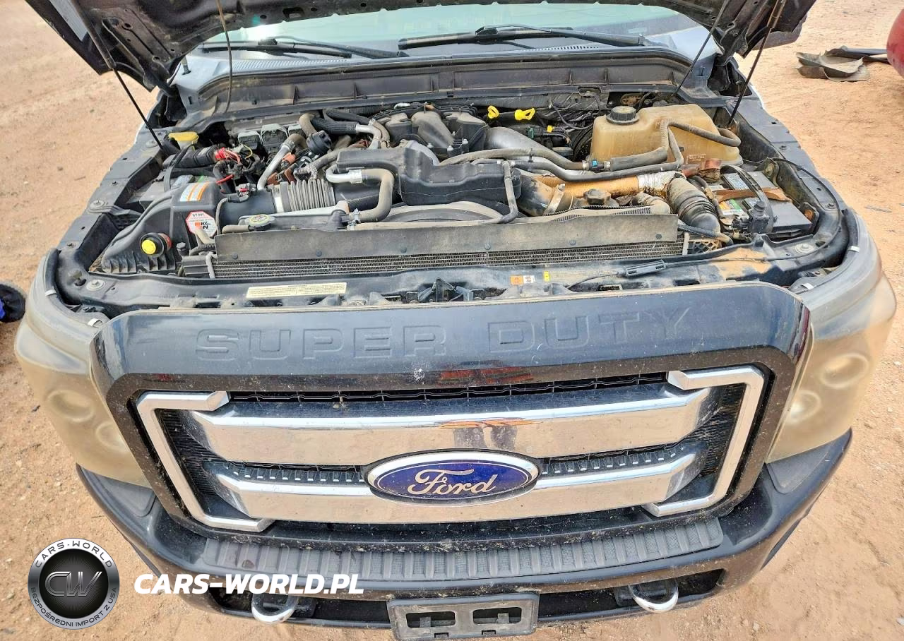 2011 Ford F250 Super Duty VIN:1FT7W2BT7BEB94869 - 11