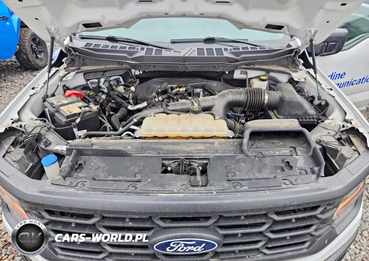 2024 Ford F150 Xl VIN:1FTMF1KP6RKE62225 - 11
