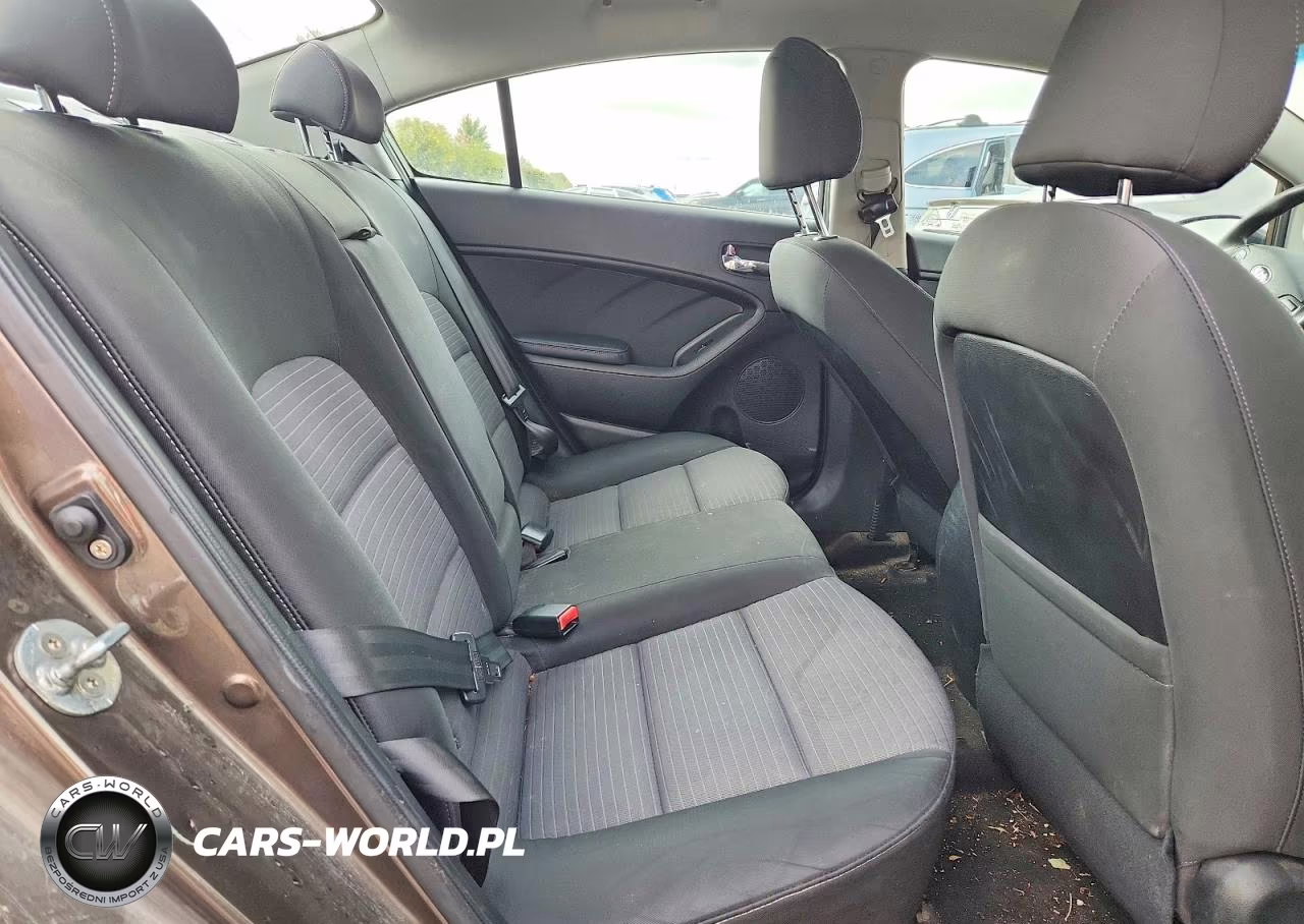 2015 Kia Forte Lx VIN:KNAFX4A60F5352374 - 10