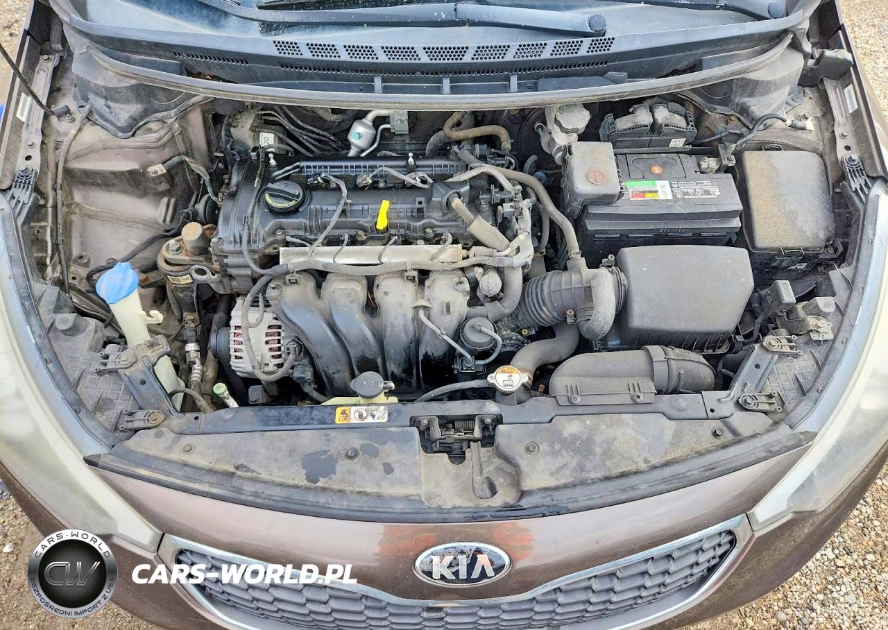 2015 Kia Forte Lx VIN:KNAFX4A60F5352374 - 11