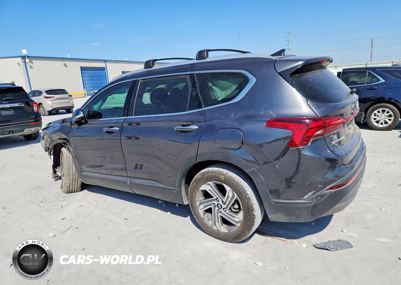2023 Hyundai Santa Fe Sel VIN:5NMS24AJ1PH619265 - 2