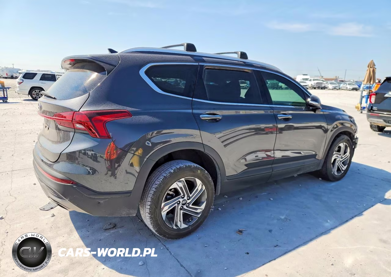 2023 Hyundai Santa Fe Sel VIN:5NMS24AJ1PH619265 - 3
