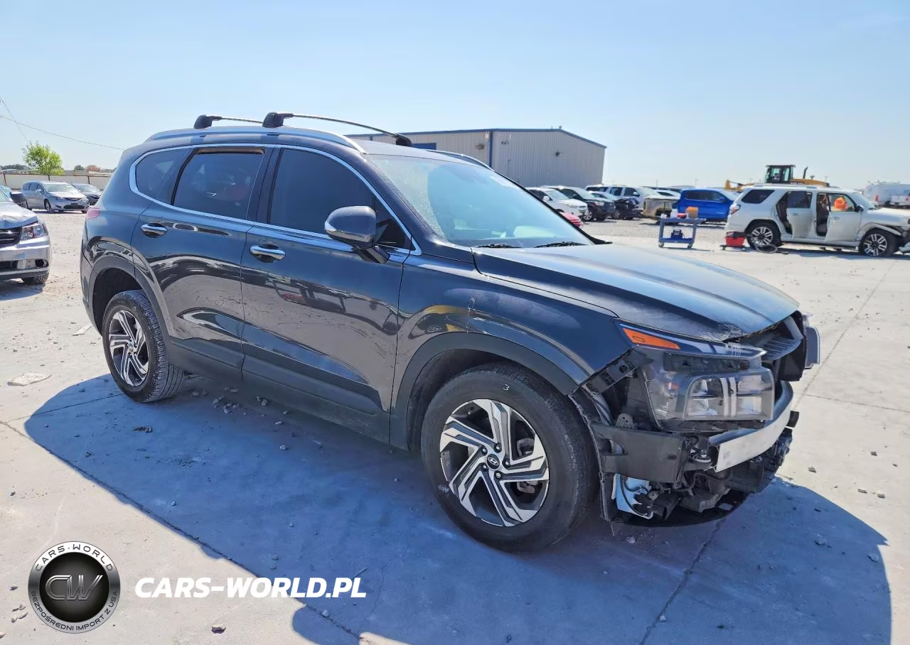 2023 Hyundai Santa Fe Sel VIN:5NMS24AJ1PH619265 - 4