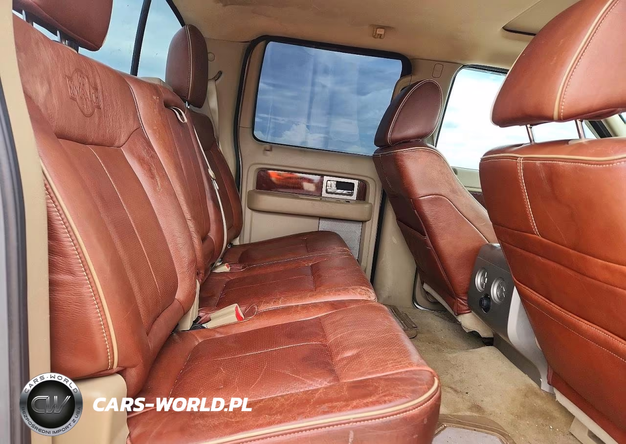 2010 Ford F150 Supercrew VIN:1FTFW1EV7AKC54085 - 10