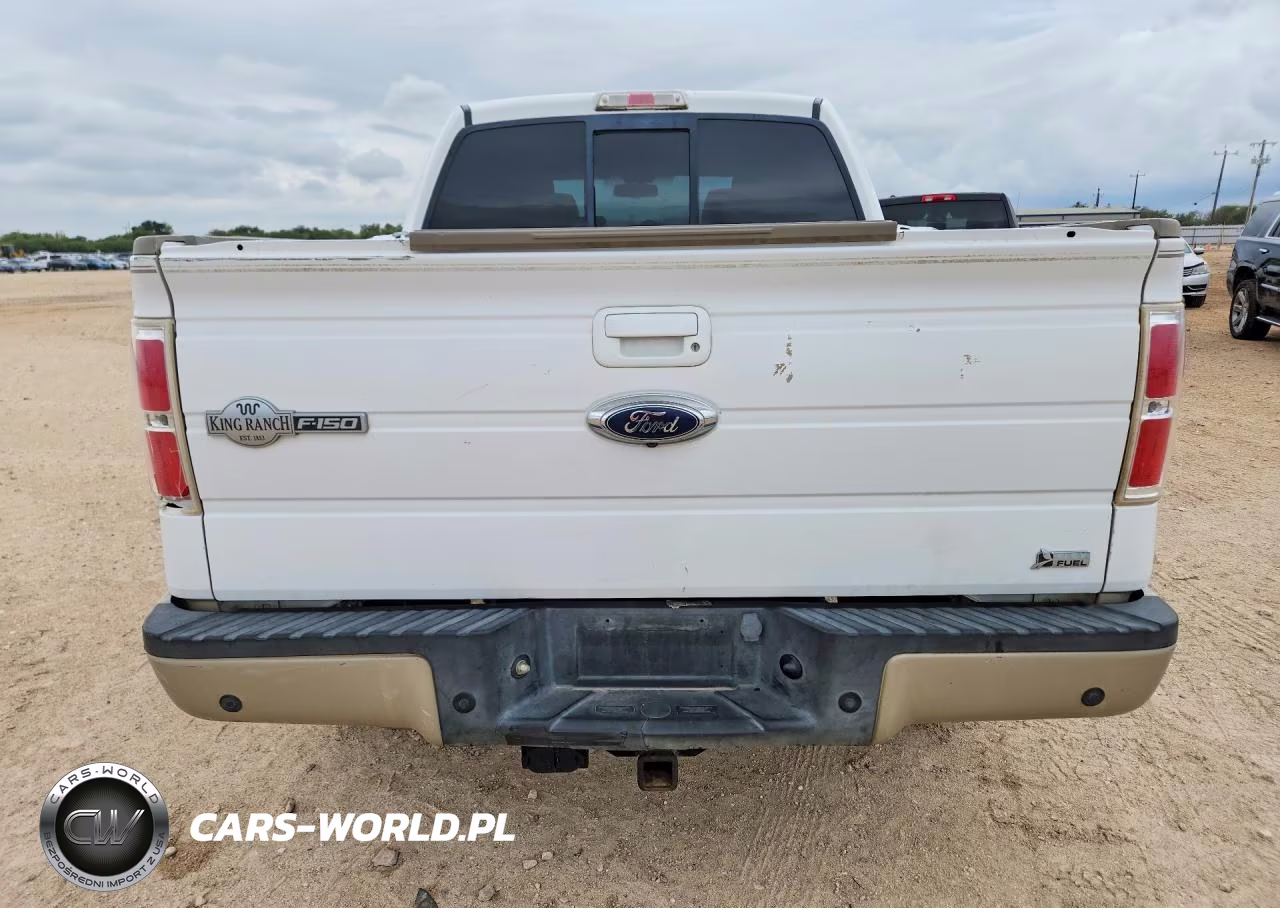 2010 Ford F150 Supercrew VIN:1FTFW1EV7AKC54085 - 6