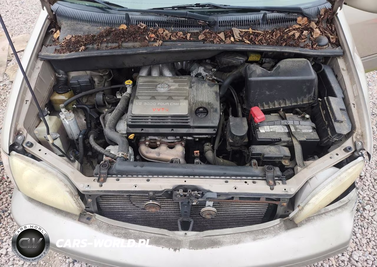 2002 Toyota Sienna Le VIN:4T3ZF13C82U493524 - 12