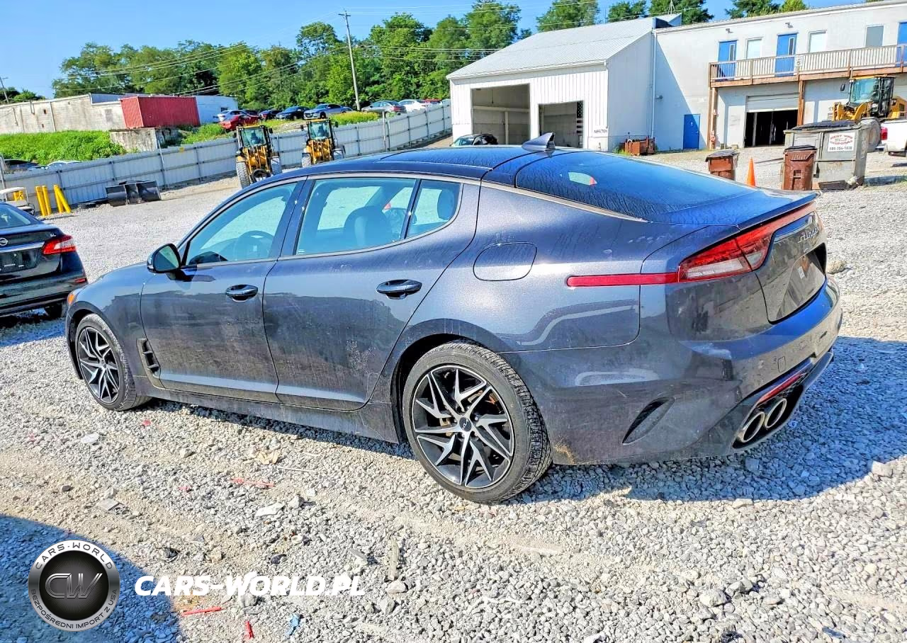 2023 Kia Stinger Gt Line VIN:KNAE35LD1P6137798 - 2