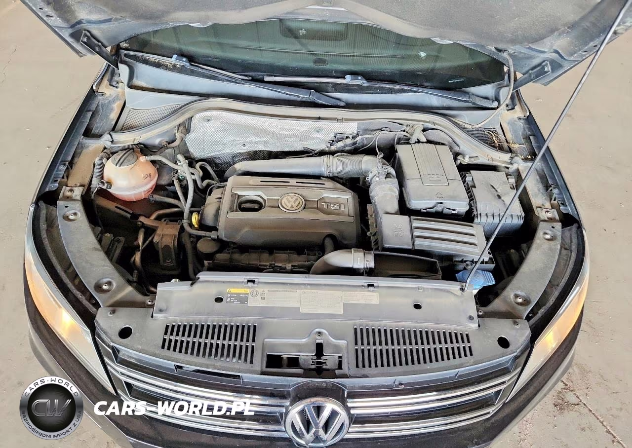 2017 Volkswagen Tiguan S VIN:WVGAV7AX6HK019934 - 12