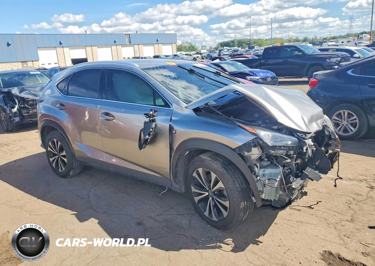 2018 Lexus Nx 300 F Sport VIN:JTJBARBZ6J2153541 - 4